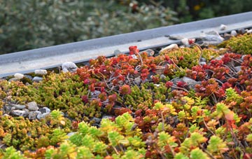 the cost of Holbeach Drove green roof installation