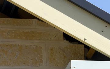 soffit repair Holbeach Drove