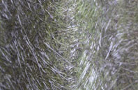 Holbeach Drove fibreglass roof work